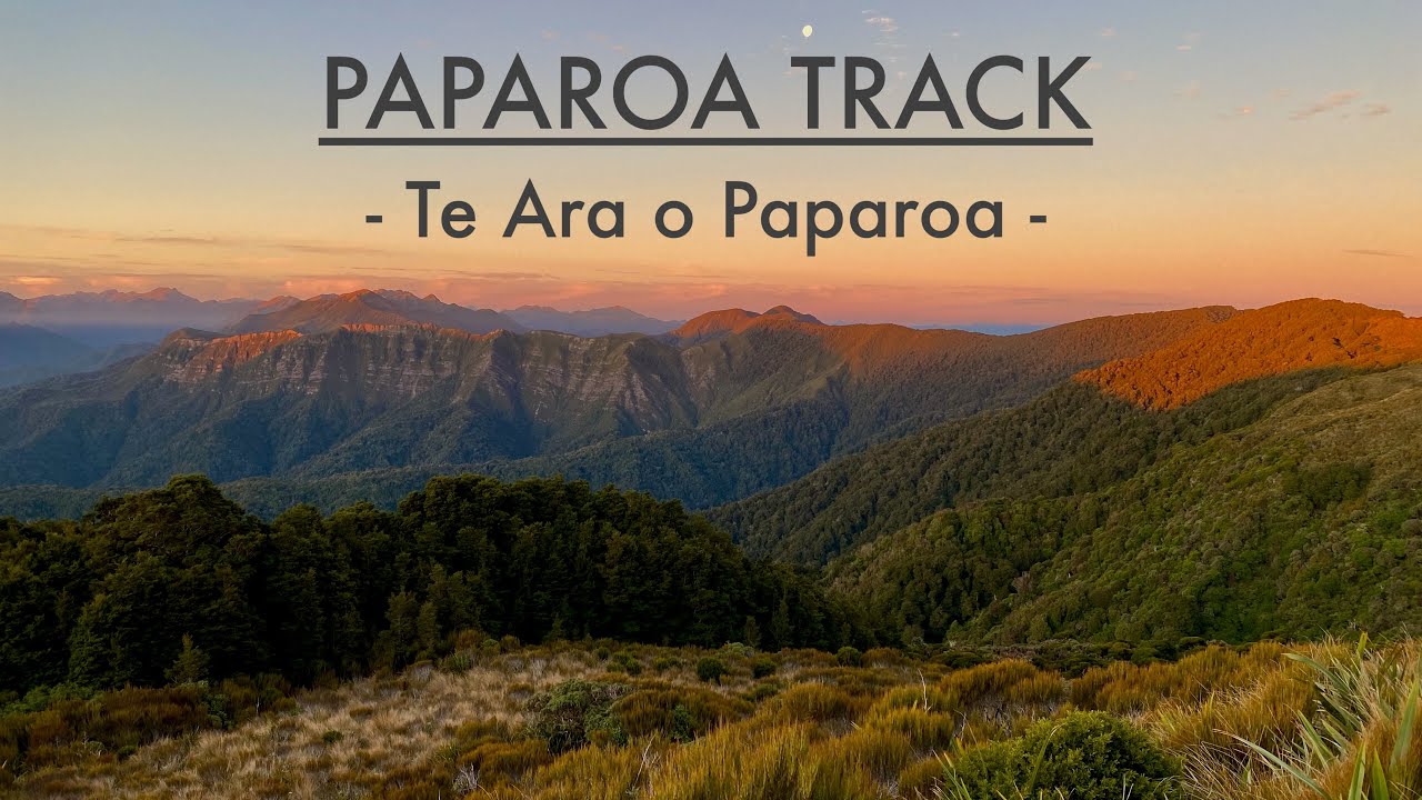 Paparoa Track | New Zealand Great Walk