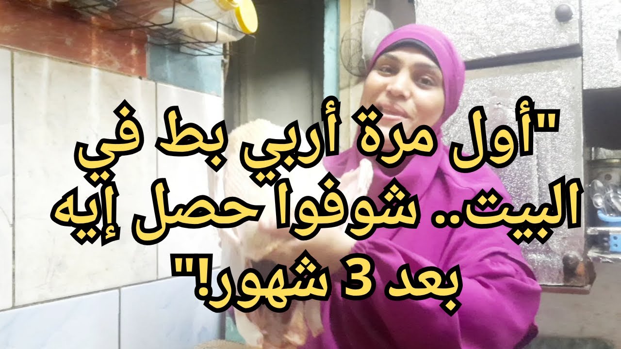 🔥 أول تجربة ليا مع البط في البيت... ودي كانت النتيجة!