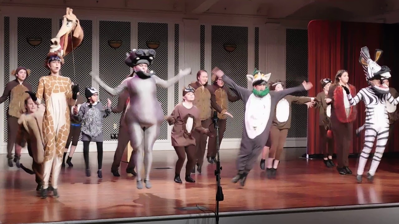 2018 NPAF - Madagascar Jr. Performance
