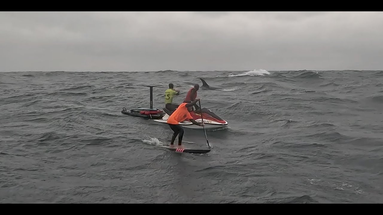 San Diego Orcas Foil Run