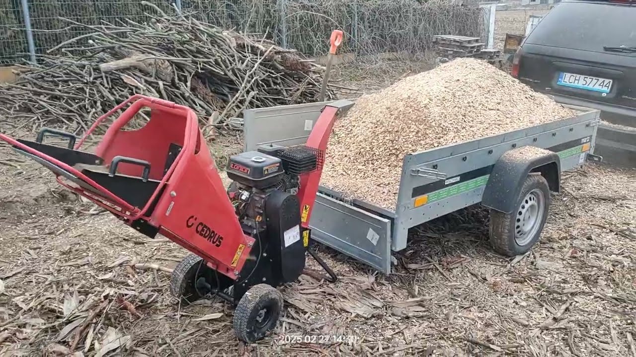 rębak spalinowy 6.5KM suche gałęzie grab i dąb