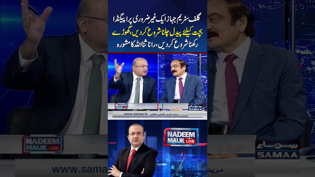 Propaganda Over Punjab&rsquo;s Plane Unnecessary, Start Walking, Keeping Horses to Save Costs: Rana Sana