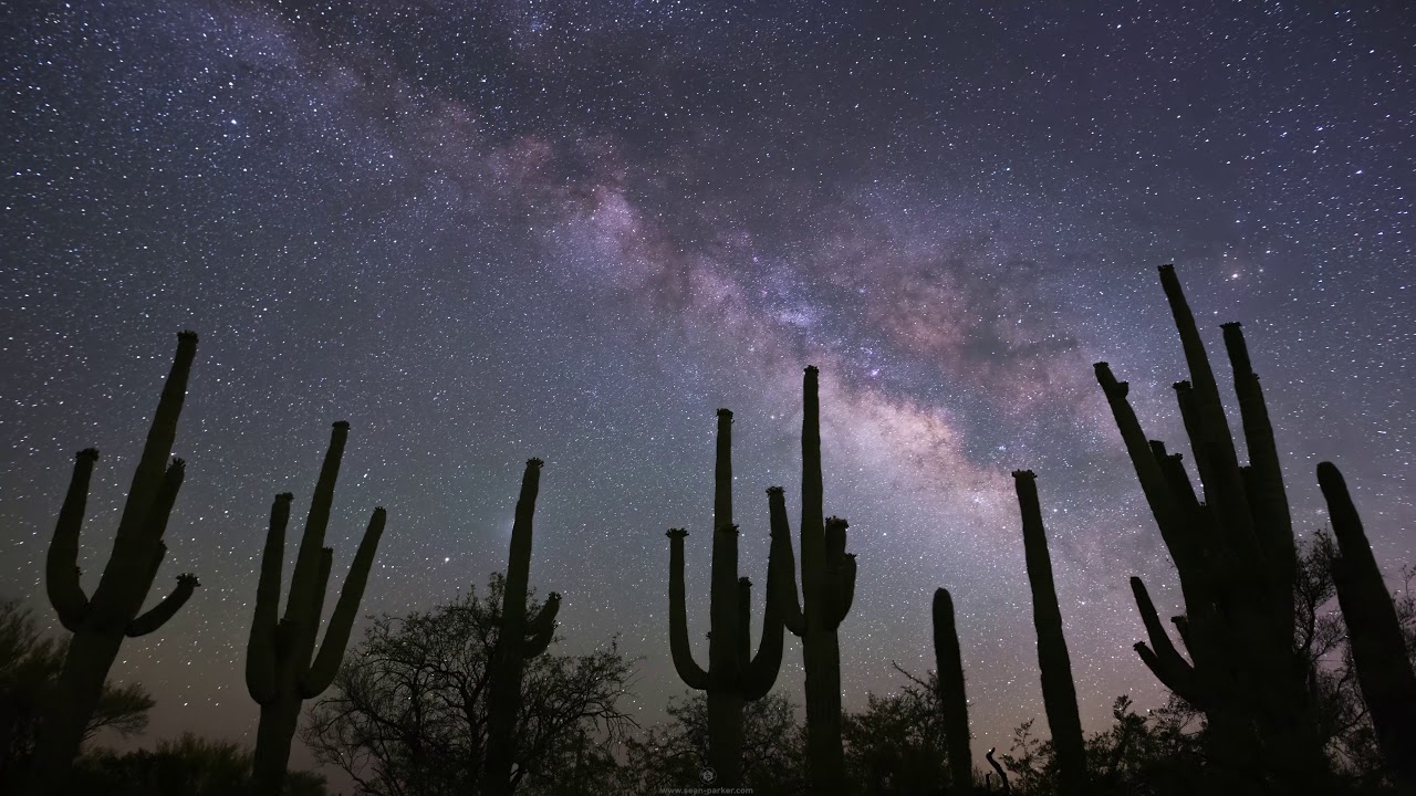 Saguaro Milkyway Timelapse 2020 4k UHD