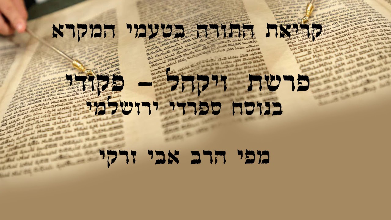 הרב אבי זרקי- קריאת התורה פרשת 