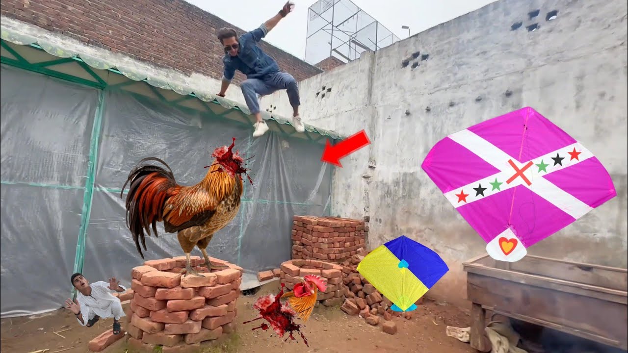 Abubakar Hen Cut Vs Kite Flying 2023