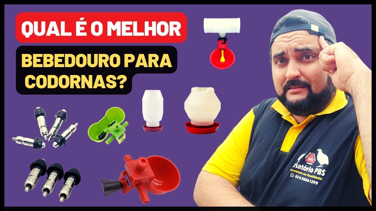 Qual é o MELHOR BEBEDOURO para a criação de codornas? Saiba qual usar em sua criação de codornas