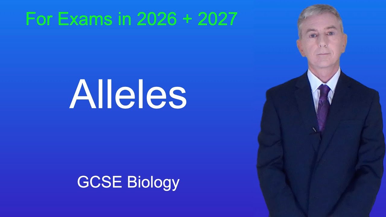Повторение биологии GCSE «Аллели»