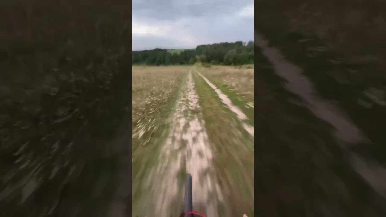 E - bike 500 wat mxus xf15f