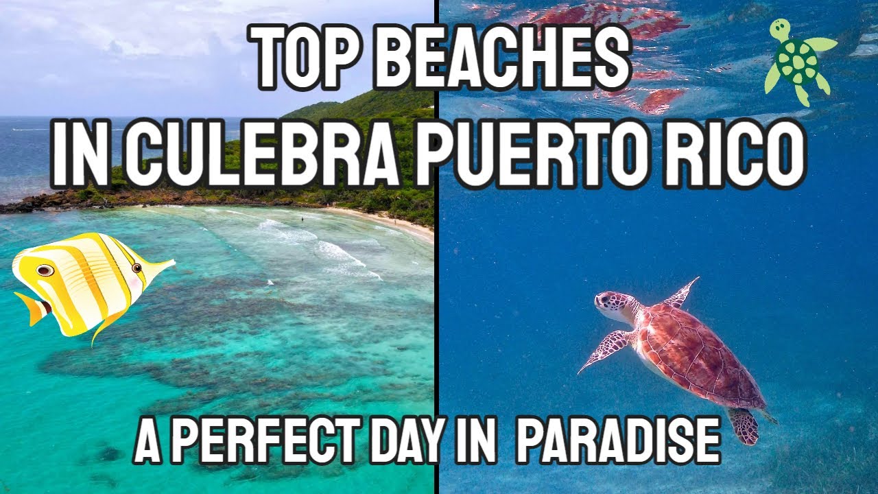 Incredible Places In Puerto Rico | Top Beaches In Culebra