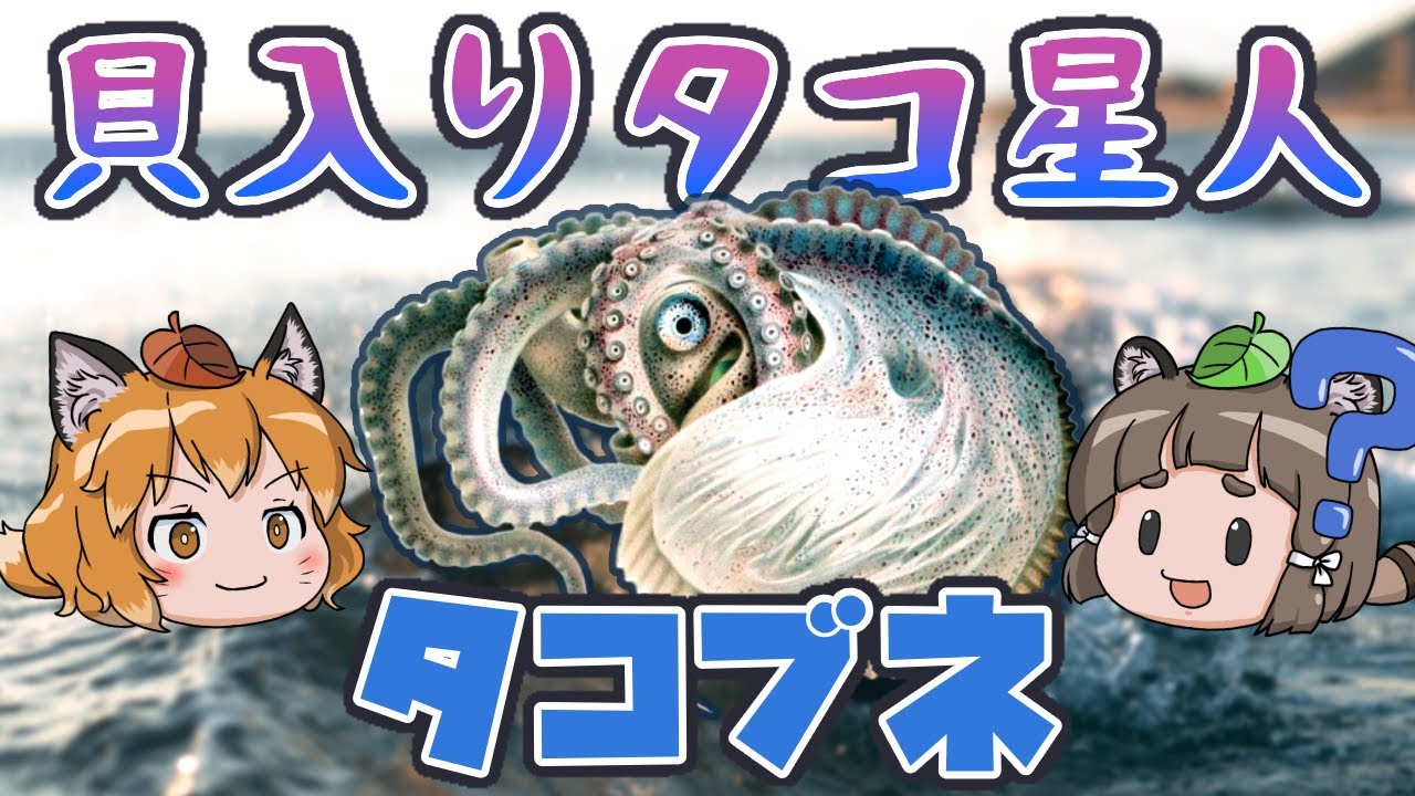 【ゆっくり解説】タコなのに貝殻がついてる！？タコブネ【へんないきもの#52】