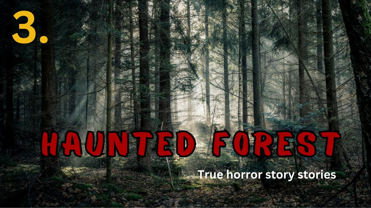 3 Terrifying Forest Horror Story @ScaryPills  @CreepypastasEverywhere