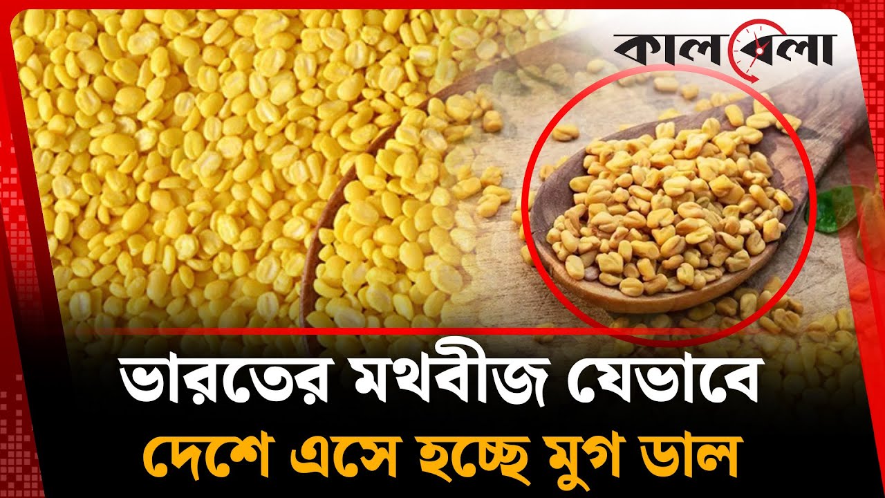 ভারতের মথবীজ যেভাবে দেশে এসে হচ্ছে মুগ ডাল | Mung Bean | Bazar Update | Kalbela