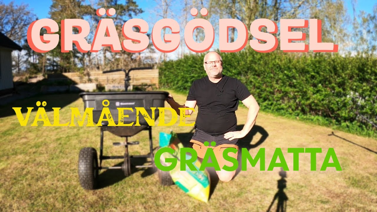 Dags för gödsling - Så får du gräsmattan att explodera i grönt!