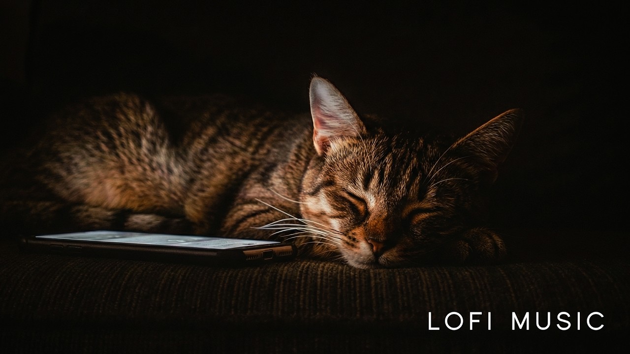 Deep Sleep Music 🌙 Can’t Sleep After Scrolling? Calm Night Ambience (3 Hours)