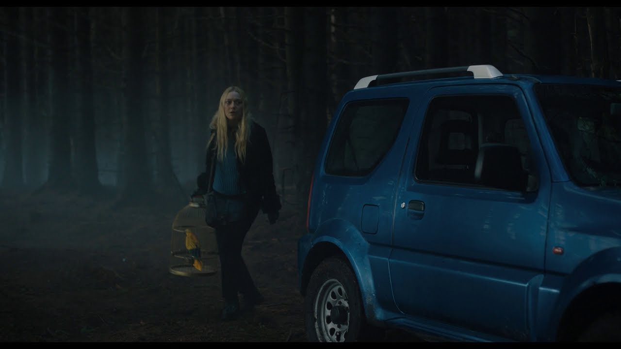 Os Observadores | Car stall and coop
