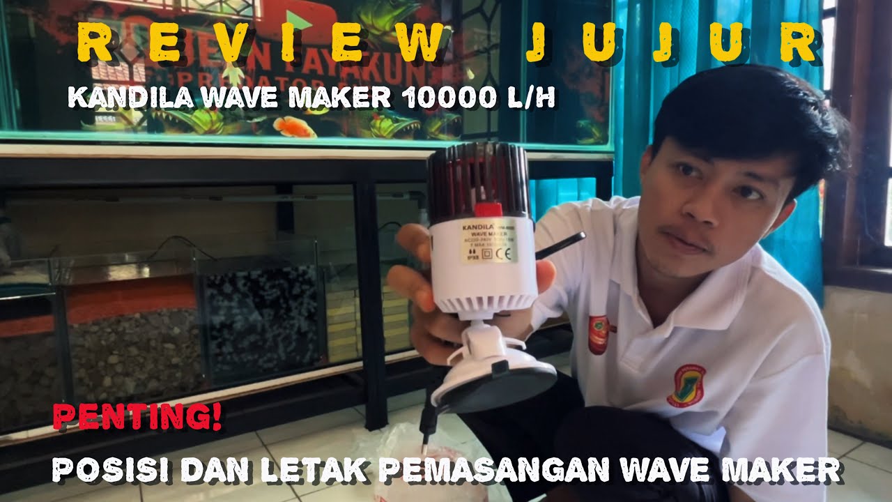 REVIEW JUJUR, KANDILA WAVE MAKER 10.000 L/H DI AQUARIUM 2 METER‼️