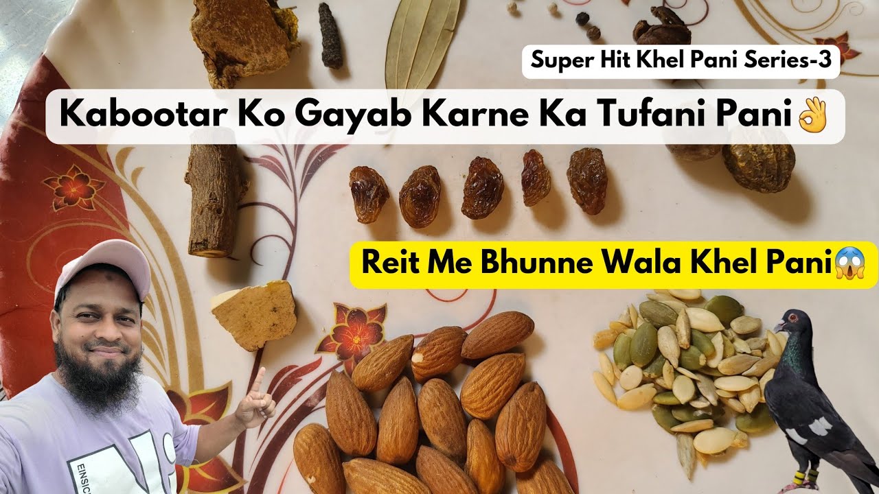 Kabootar Ko Gayab Karne Ka Tufani Pani 🔥||November or December Ka ||@pigeonscarefactory5328