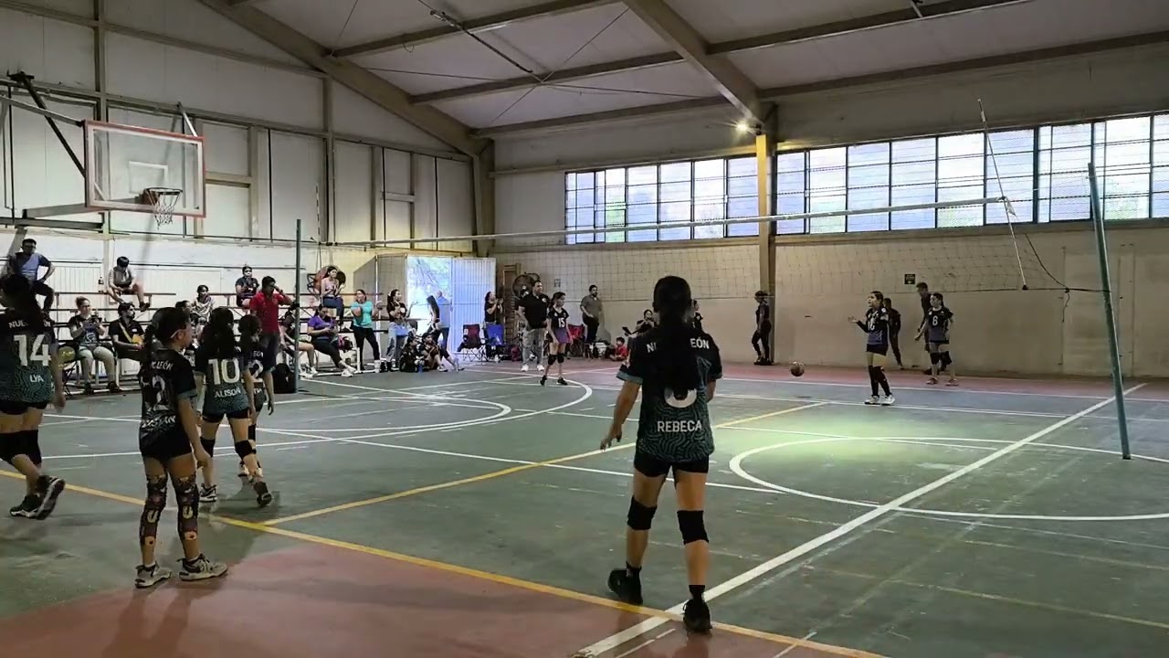 Escobedo vs Apodaca micro 