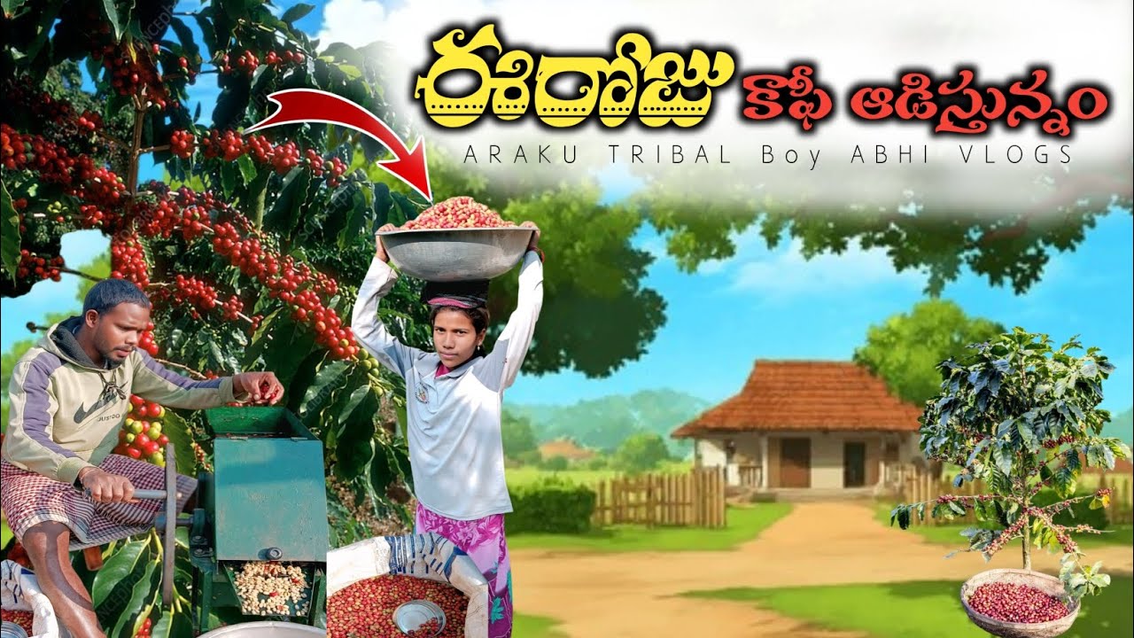 Coffee Pikkalu Mill Process | కాఫీ పిక్కలు మిల్లు ఆడించిన పూర్తి వీడియో | arakutribalboyabhivlogs