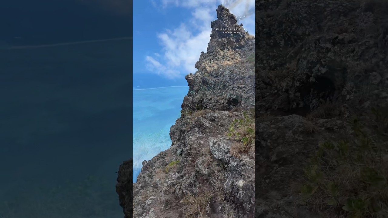 ВОСХОЖДЕНИЕ НА ГОРУ LE MORNE 555m.📍МАВРИКИЙ 