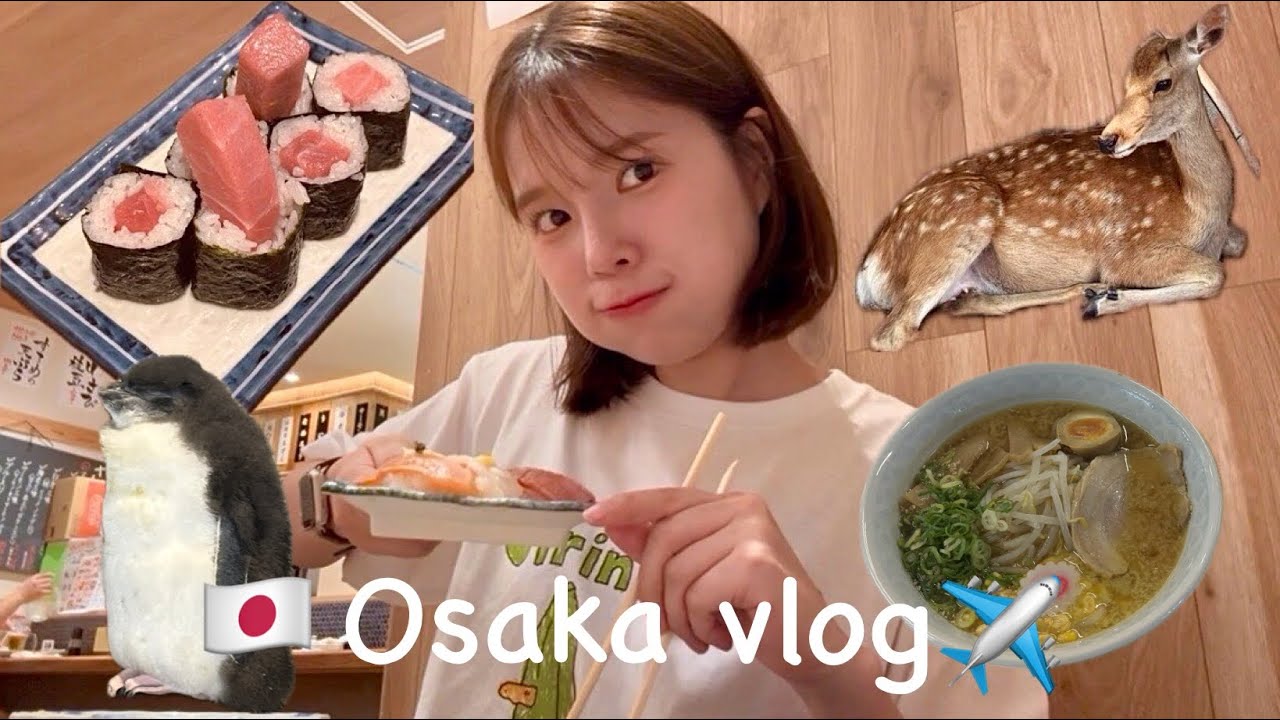 [VLOG] 오사카 2박3일 가족 여행 스시스카바 사시스 난바•글리코상•사슴공원•도다이지대불전•가마이키•가이유칸수족관