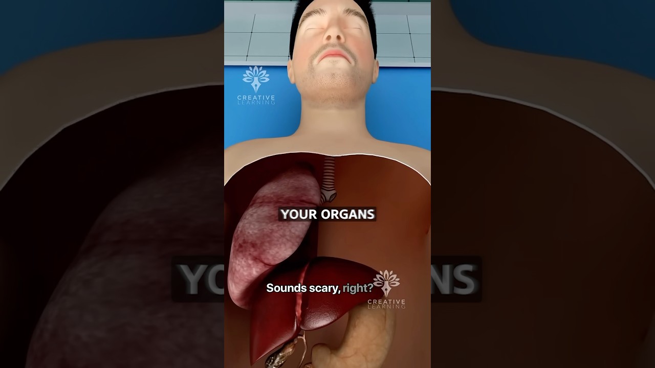 Can You Survive With Just One Lung? 😨 Surgeon Reacts