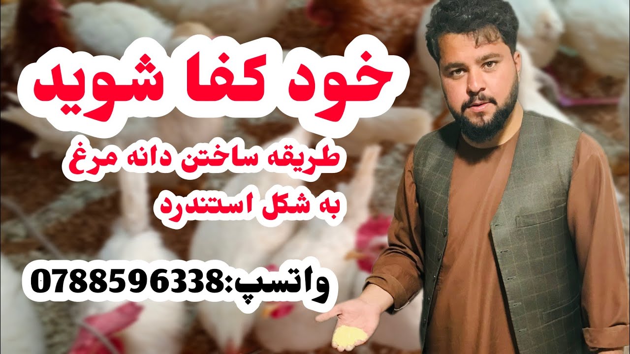 #دانه_مرغ_را_خودتان_بسازید #فارم #chicken #مرغ