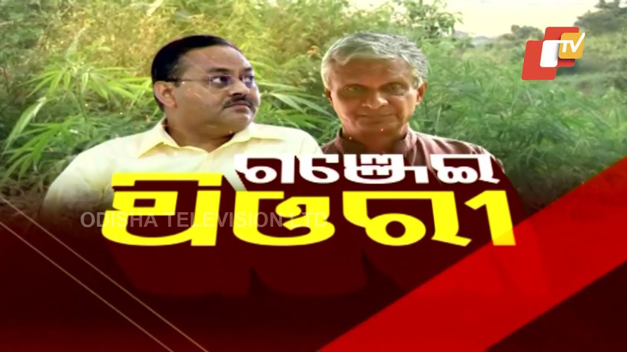 Discussion At 8- Ganja Cultivation
