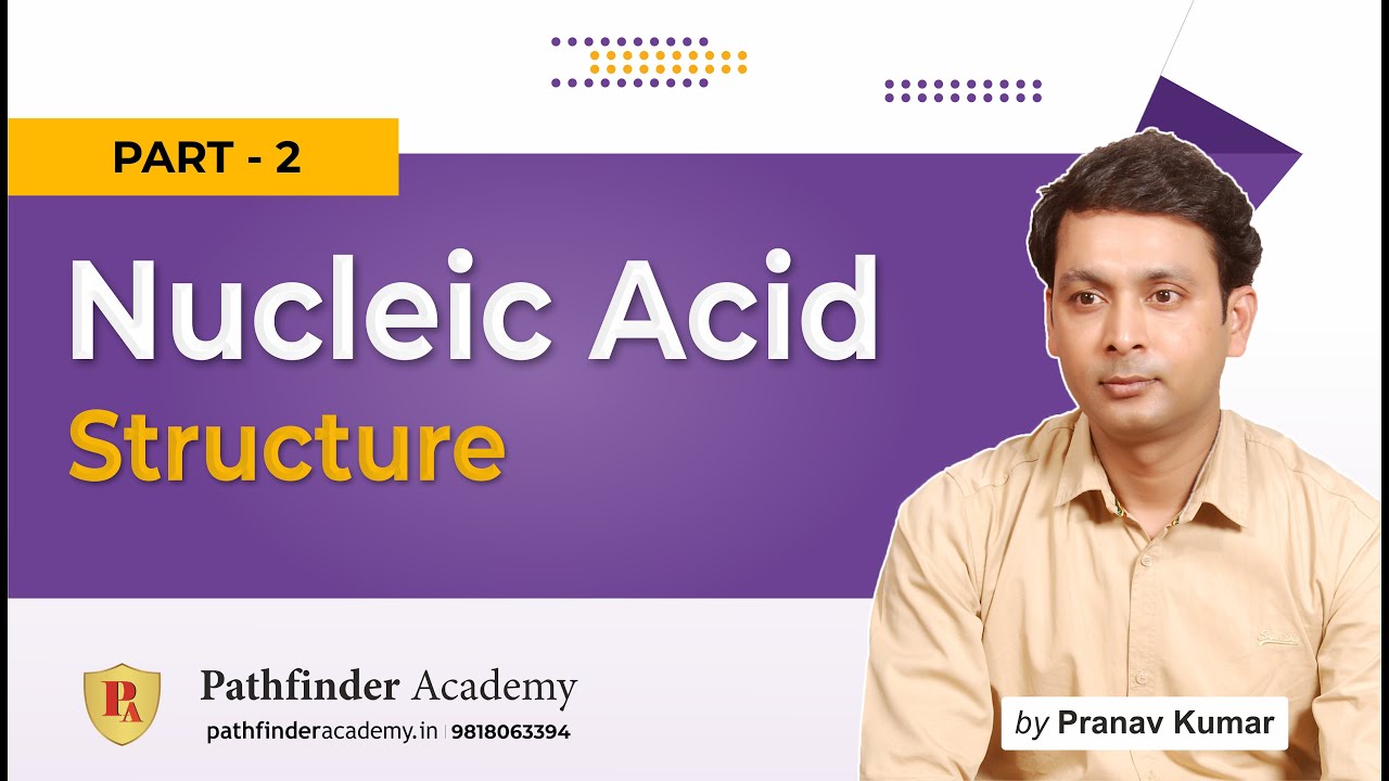 Nucleic acid Structure Part - 2 | #csirnetlifescience  #lifesciences
