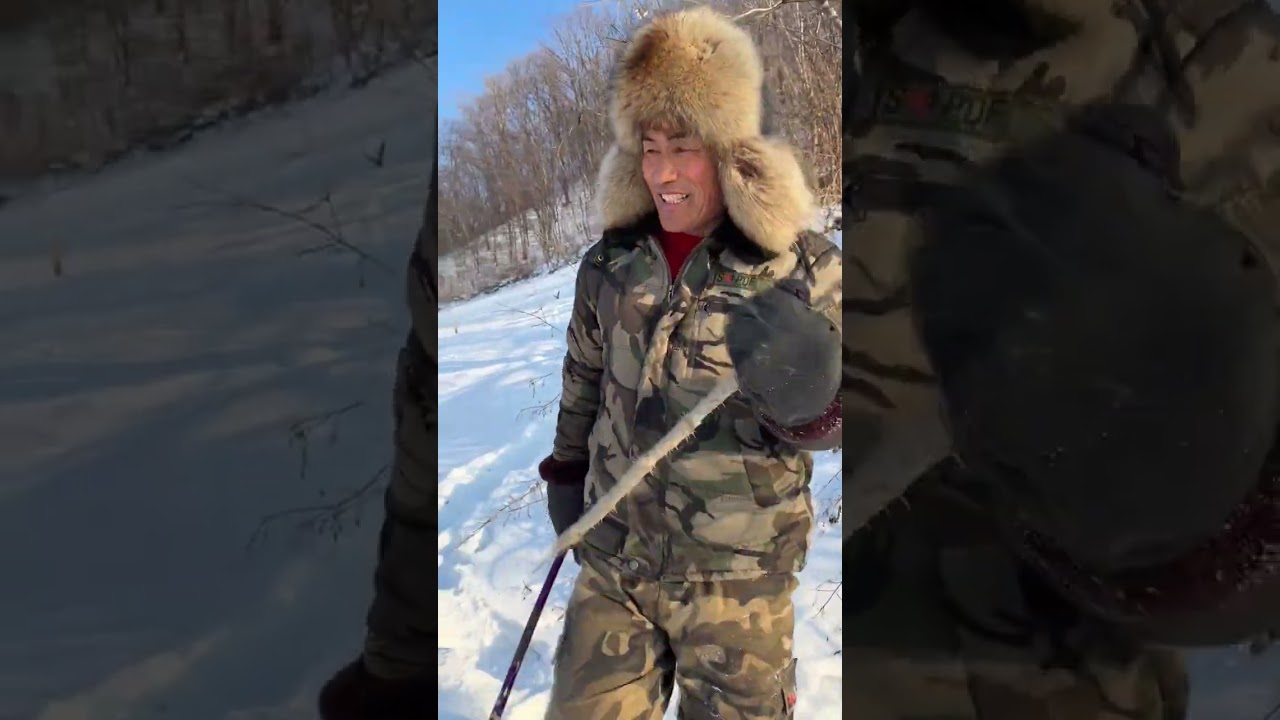 年前最后一波！采刺老芽杆回家水培，等一个月，开春直接炫嫩尖尖！#我的乡村生活 #刺嫩芽 #水培刺嫩芽