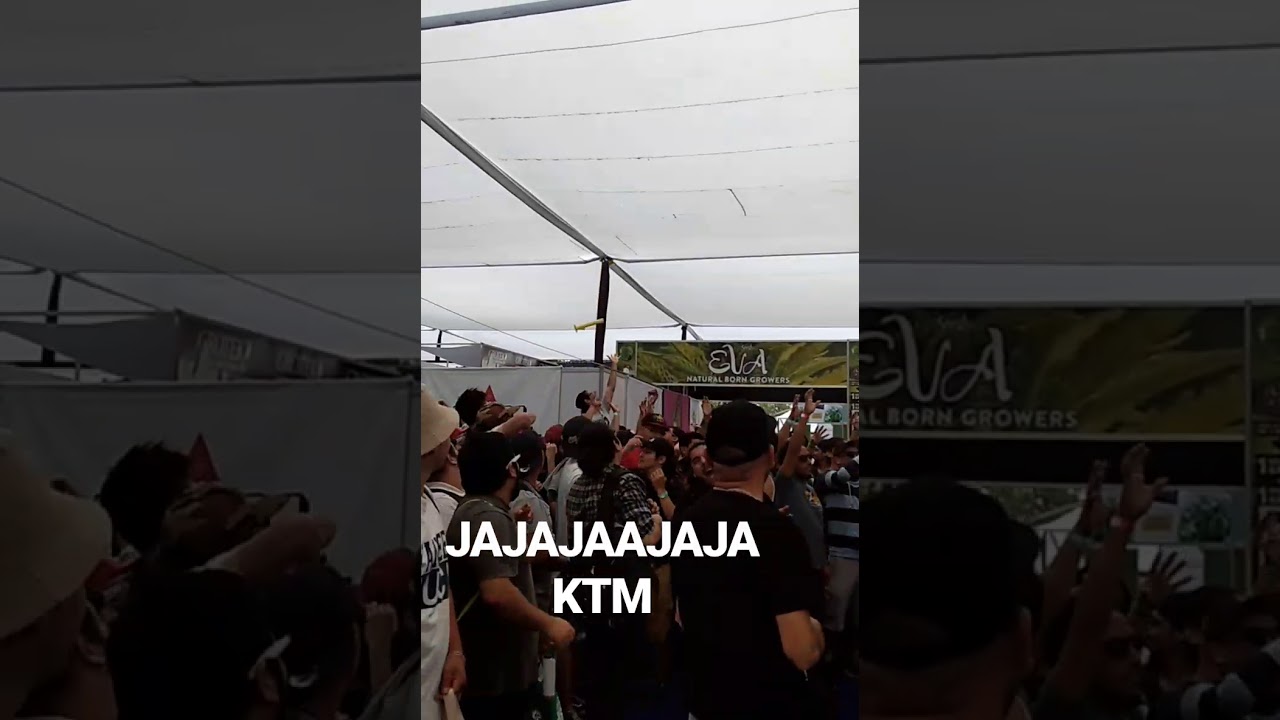 Bong a la chucha - Expo Weed 2017