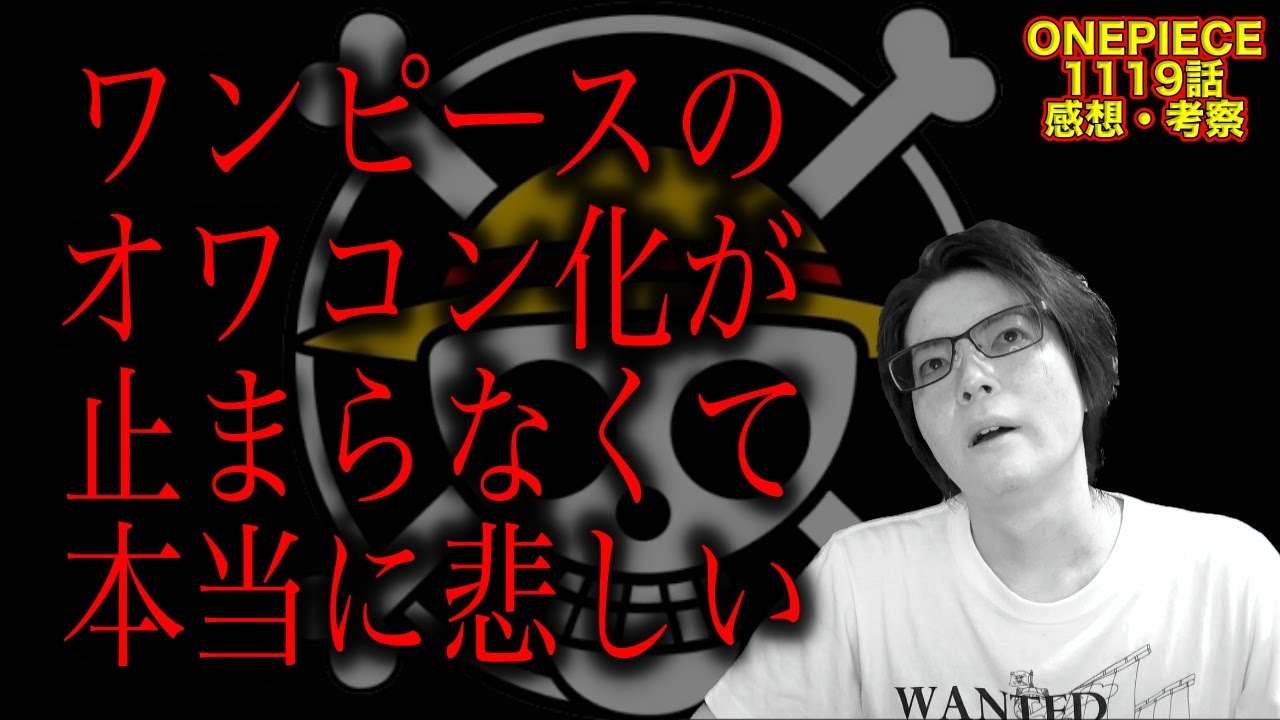 1119話 ボニーさんニカ化するも何もせずバテて終了 #onepiece #考察