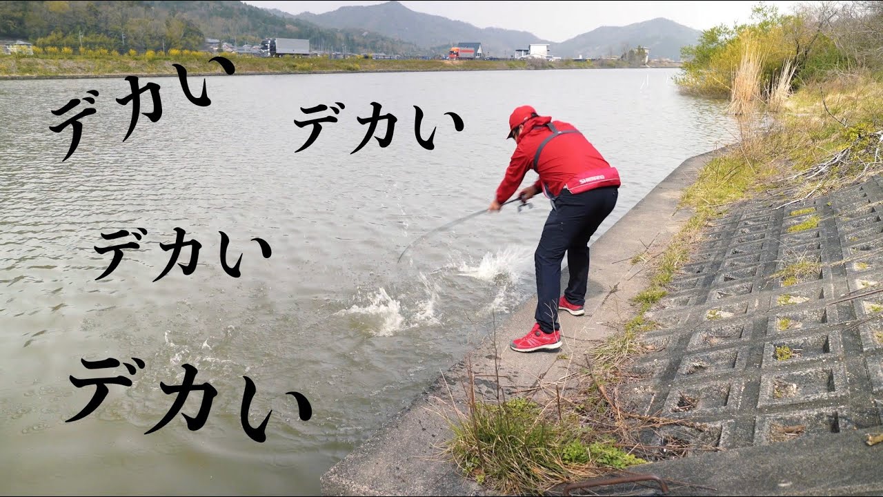 マスゲンが操る尺ワンに巨大魚がきて・・【マスゲン&times;K&times;きゃのん】