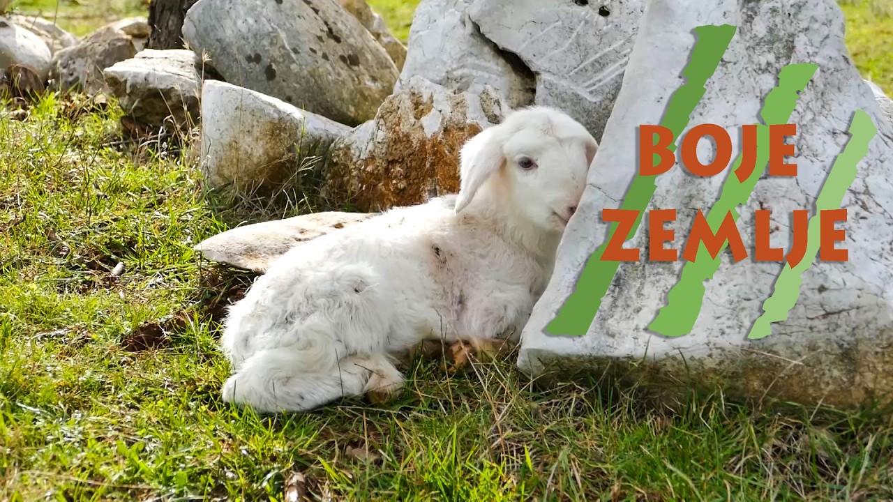 Poljoprivredna emisija Boje zemlje 1.3.2026.