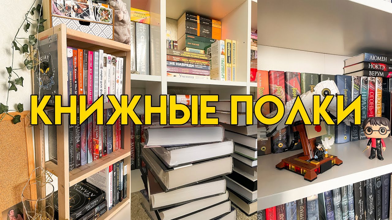 КНИЖНЫЕ ПОЛКИ 2023 | мой книжный шкаф | расставляем книги