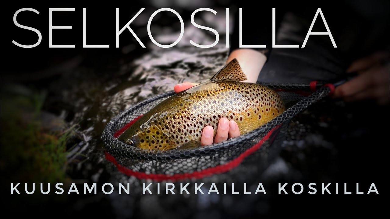 Kuusamon kirkkailla koskilla | Selkosilla