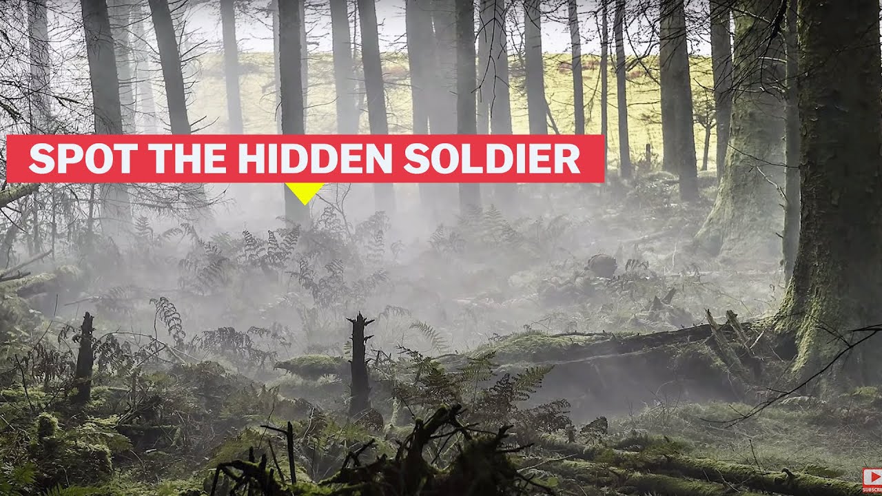 Invisible Troops: The Ultimate Military Advantage