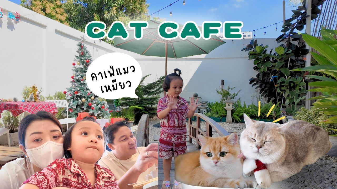 วันหยุดของน้องไอรีณ ที่คาเฟ่แมว 🐈 ถูกใจมากค่ะ ,หน้าหนาวที่แดดร้อนมาก
