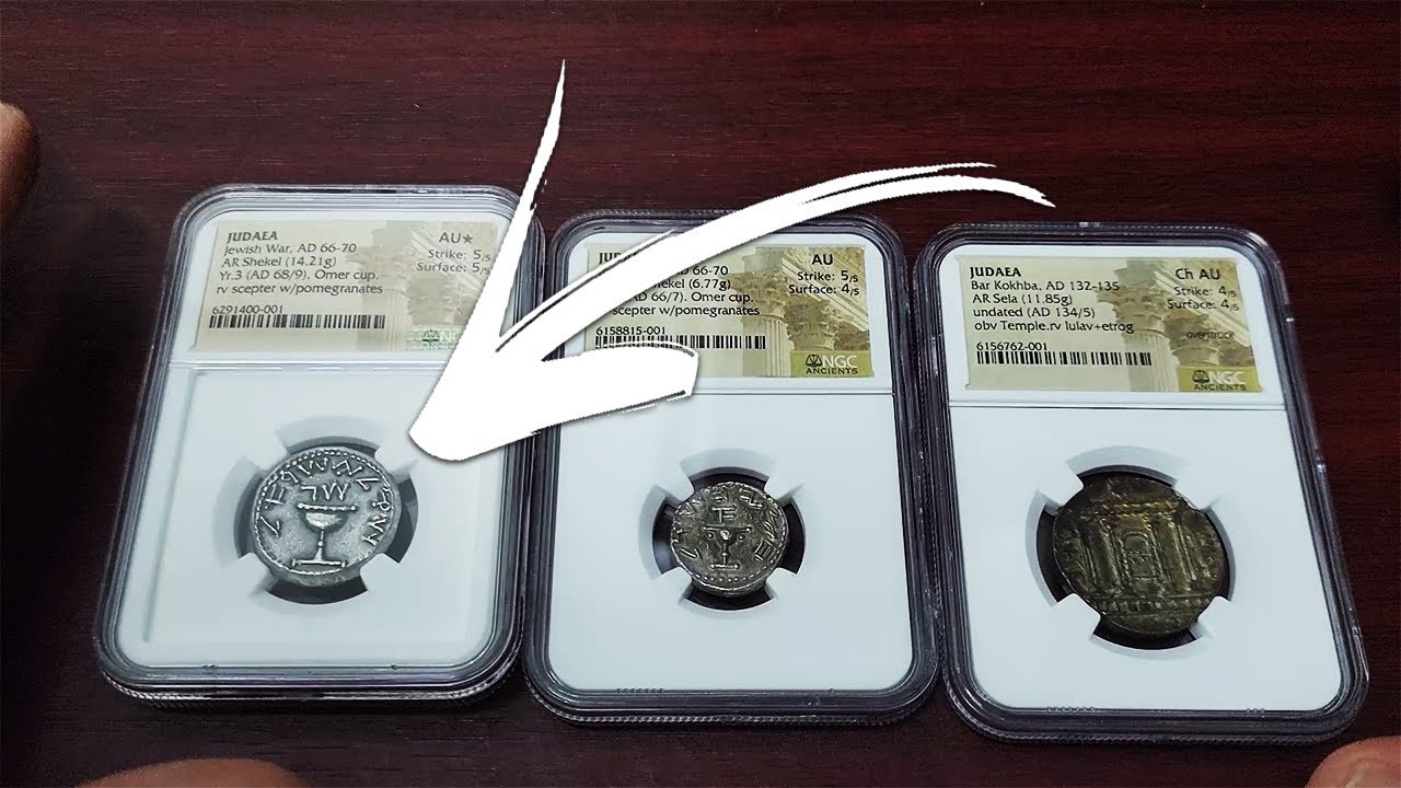 NUNCA HABÍA VISTO estos shekels de Judea