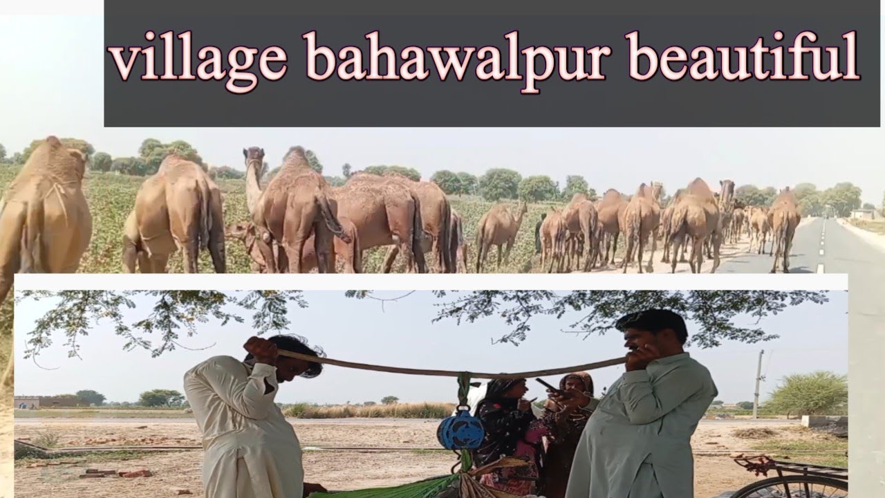 Village vlog Bahawalpur Pakistan Punjab life view 