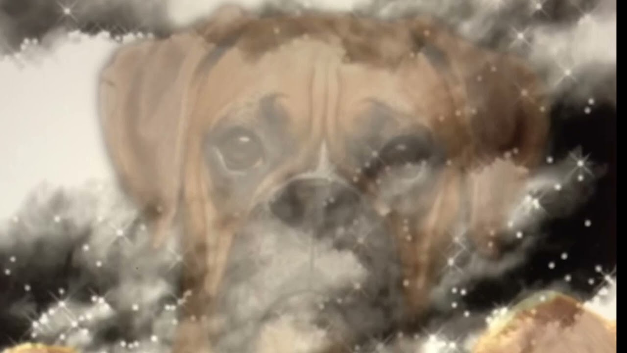 Dj Schinkensuppe - Lonely