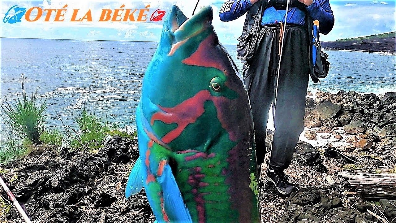 Pêche Du Bord 974 Dans L'est Leurre Crabe 🦀 Buldo Fishing à la Réunion