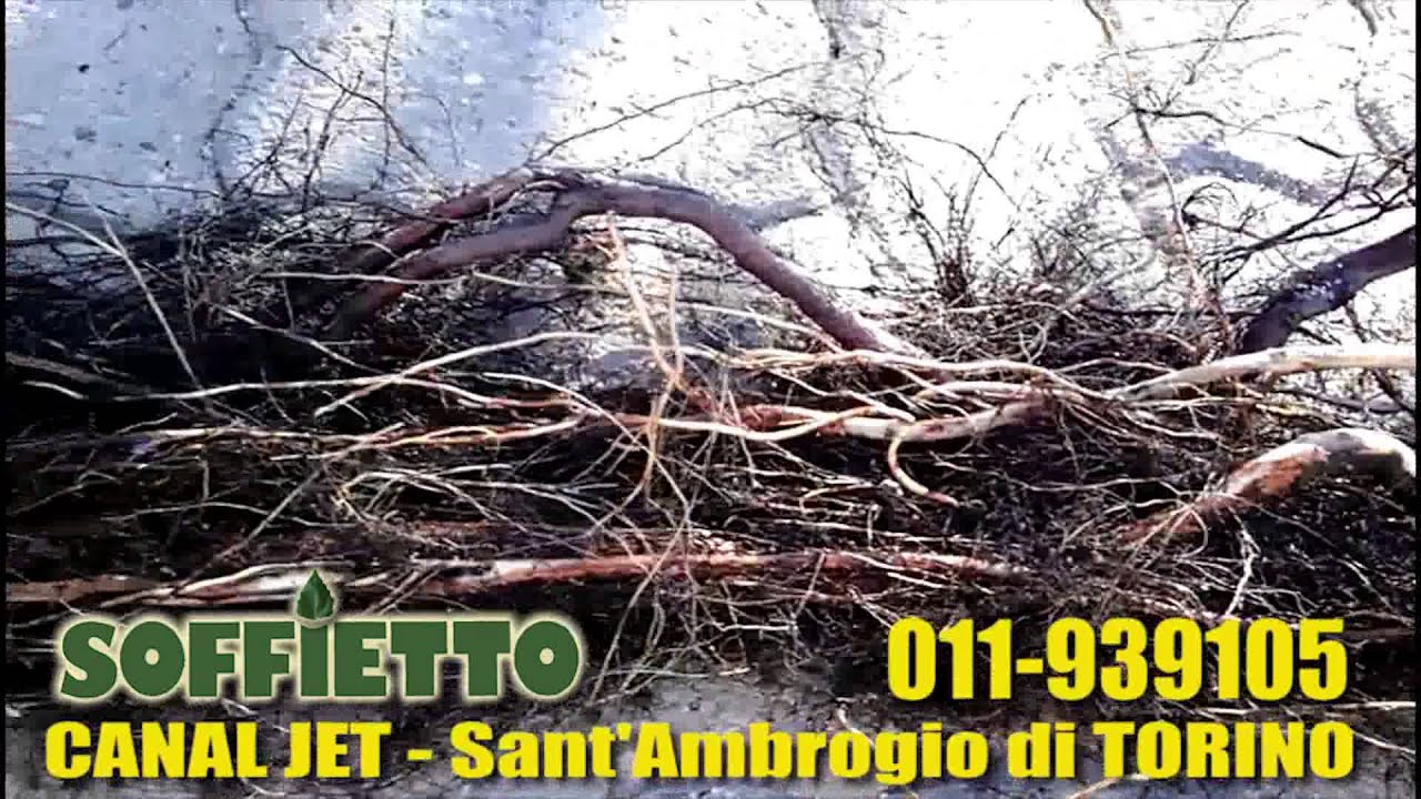 MOSTRI NELLE FOGNE - SOFFIETTO  CANALJET spurgo pozzi - TAGLIO RADICI -  (TORINO)