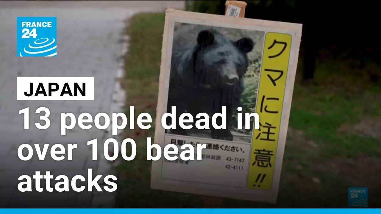 Japan deploys army to counter bear attacks &bull; FRANCE 24 English