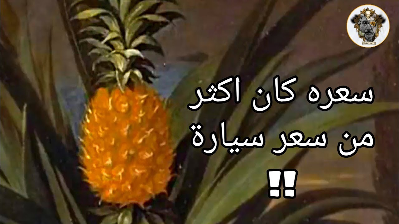 تاريخ الأناناس الغريب