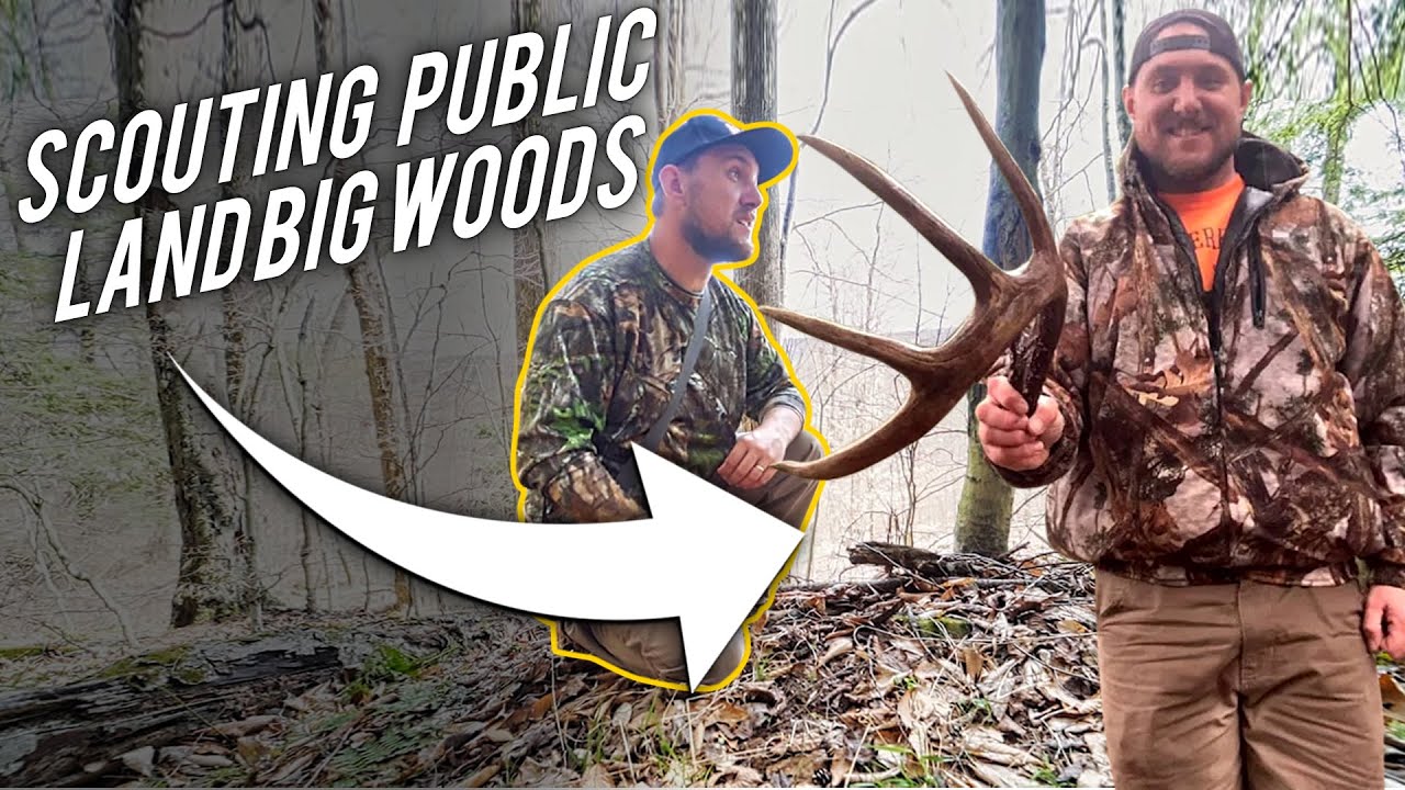 PA Big Woods Deer Scouting With Steve Sherk! Buck Bedding Tips