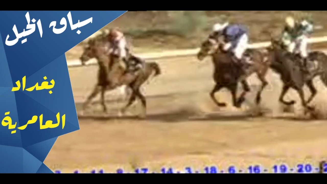 نادي الفروسية العراقي || الفارس وليد رستم || بغداد العامرية 2009