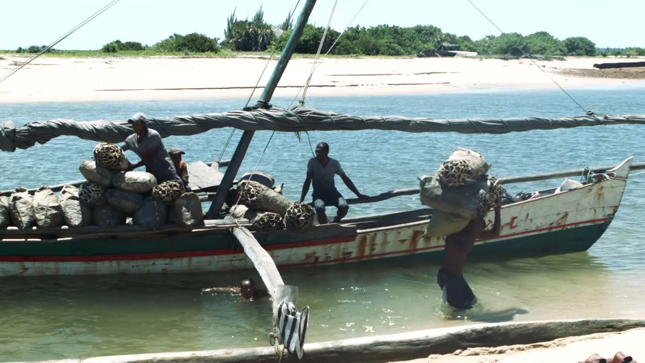 BEAUTY OF MAHAJANGA - MADAGASCAR