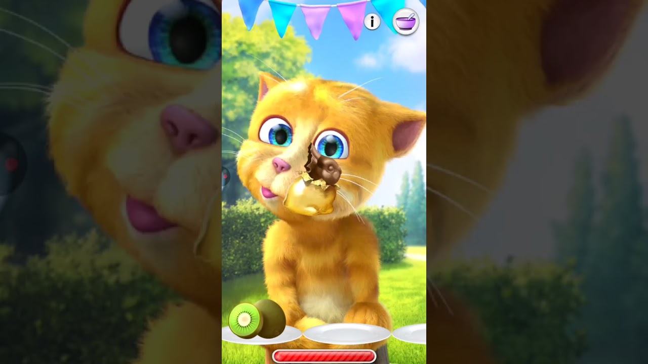 My Talking Ginger 🤟💗💗💕🥀🍈🌾🍈🌾🍈🌾💕💘💕💋💋💗🤟💋❤️💋❤️💋💋💕🌺❣️🏍️❣️🥳🍓#talkingtom #cat #cartooncat #funny #cartoon 