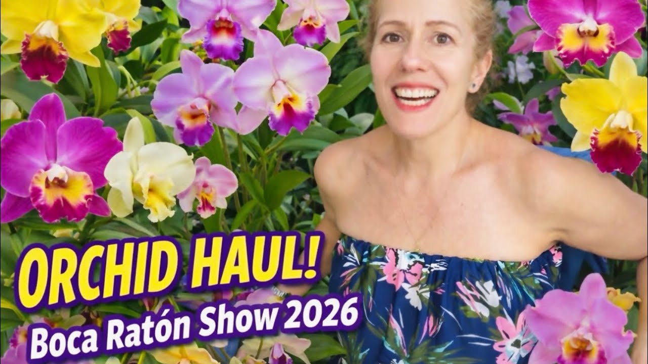 Fabulous Orchid Haul from Boca Show 2026 & Krull Smith Cattleya Bundle! I found my top 5 orchids!!